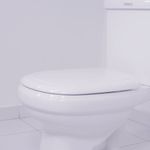 assento-sabatini-polipropileno-soft-close-branco-tupan