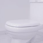 assento-sabatini-termofixo-soft-close-branco-tupan