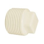 Plug-roscavel-1-1-4