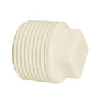Plug-roscavel-2