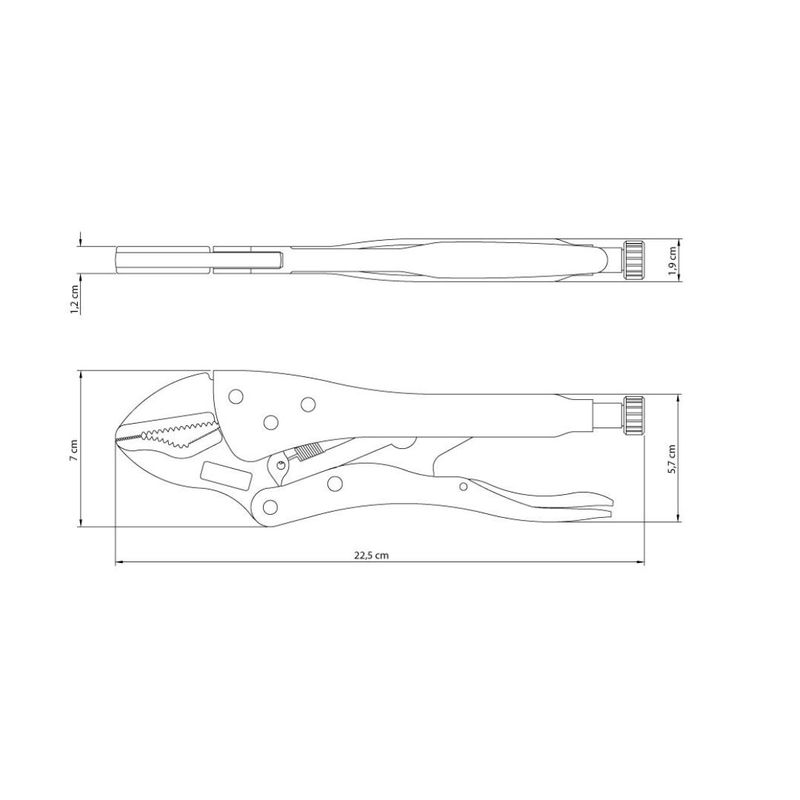 image-cfc819af375a492ab3bd35f393470b25
